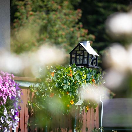 Alpenhof Bed & Breakfast Ramsau am Dachstein Exterior photo